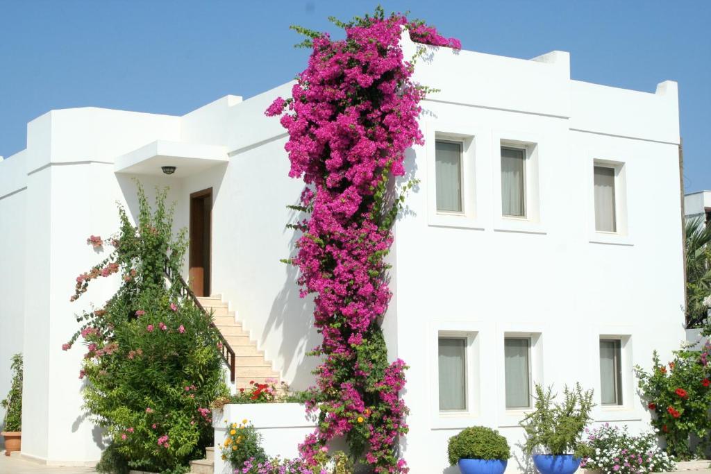 Seckin Konaklar Bodrum Bagian luar foto