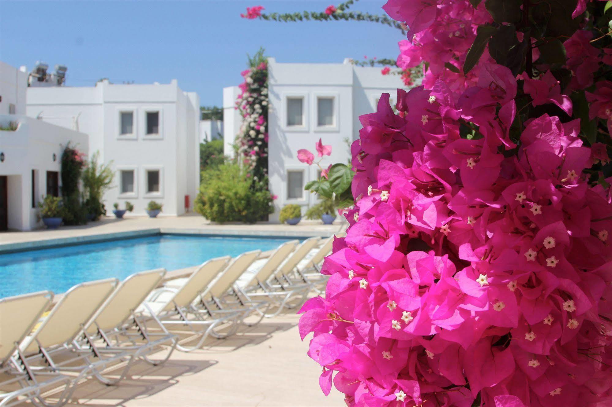 Seckin Konaklar Bodrum Bagian luar foto